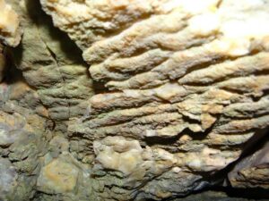 Interpreted ripple marks in siliceous sinter, Omu Sinter Prospect