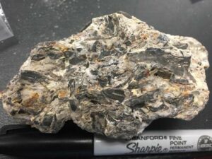 Sample from the Honpi Trench