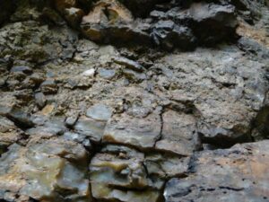 Silceous sinter at the Omu outcrop.